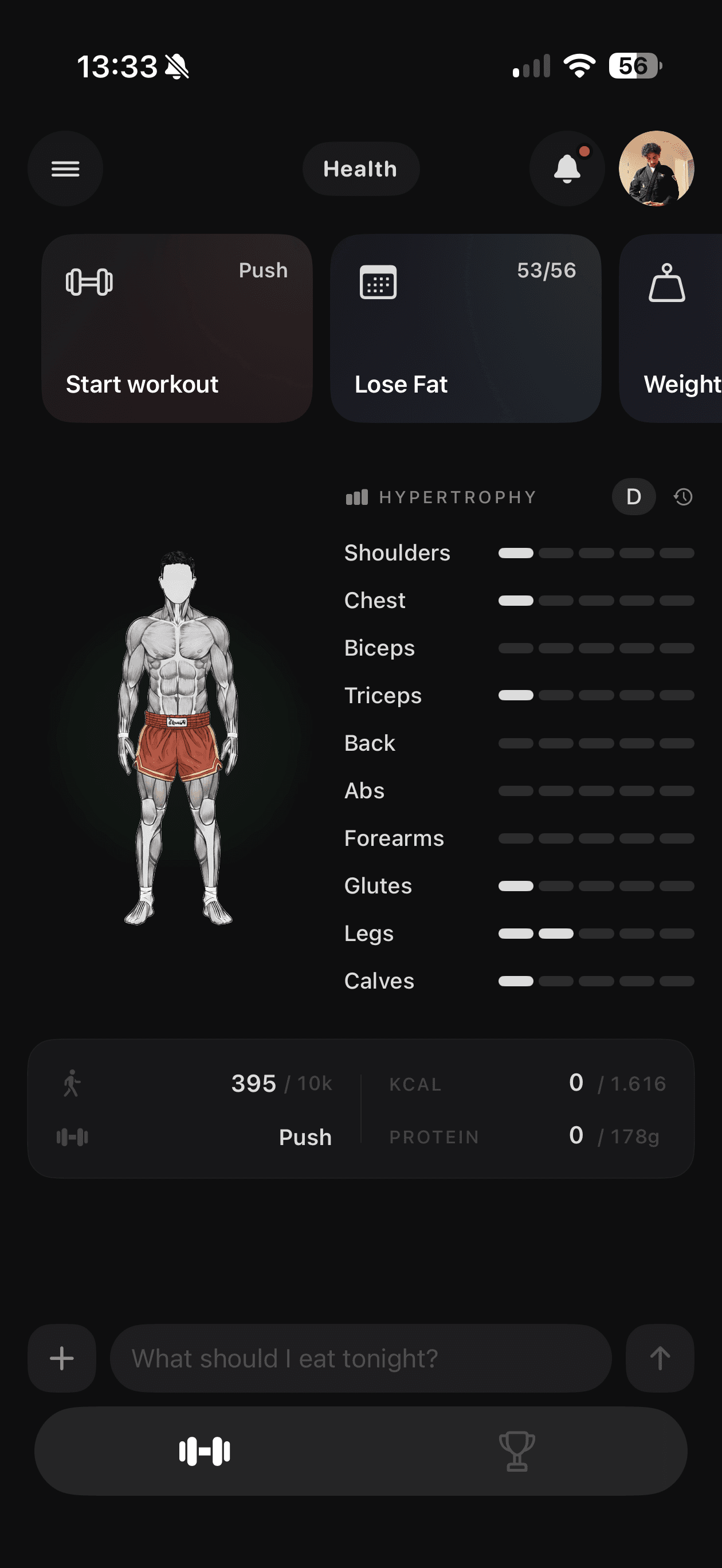 The Carve health screen: the muscle figure with a progress bar per muscle group beside it.